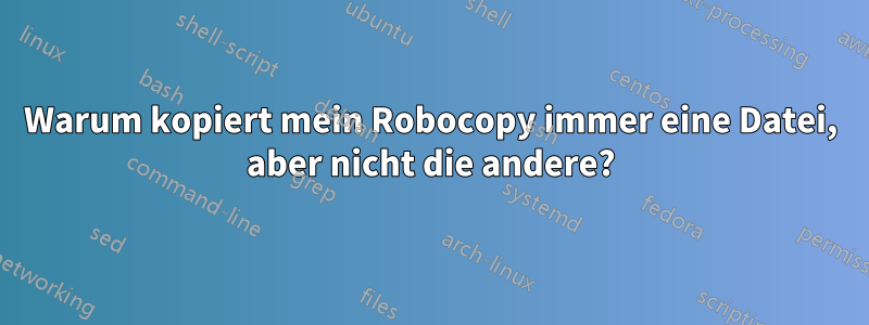 Warum kopiert mein Robocopy immer eine Datei, aber nicht die andere?