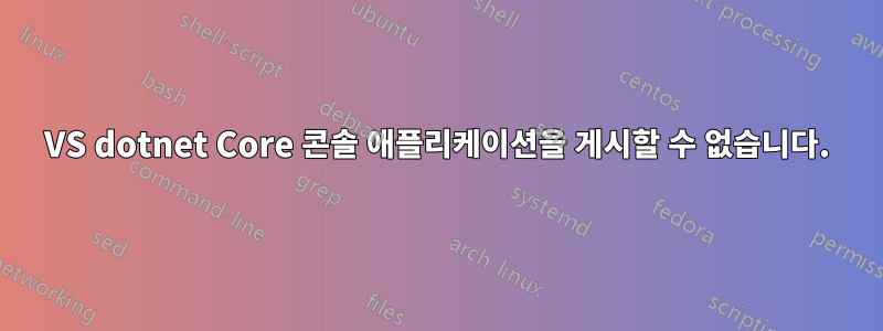 VS dotnet Core 콘솔 애플리케이션을 게시할 수 없습니다.