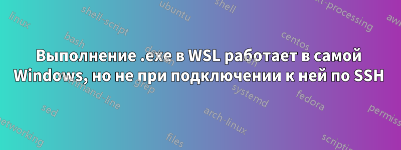 Выполнение .exe в WSL работает в самой Windows, но не при подключении к ней по SSH