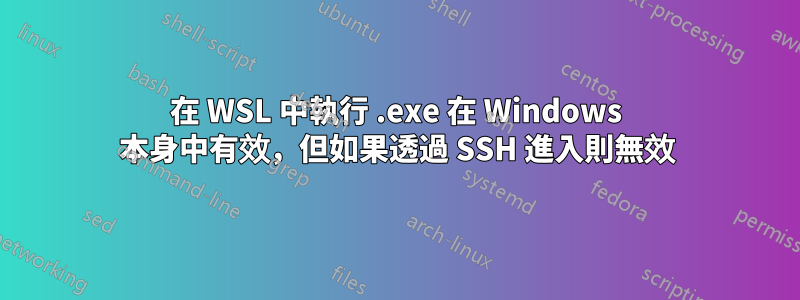 在 WSL 中執行 .exe 在 Windows 本身中有效，但如果透過 SSH 進入則無效