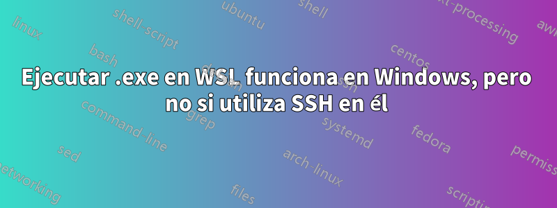 Ejecutar .exe en WSL funciona en Windows, pero no si utiliza SSH en él