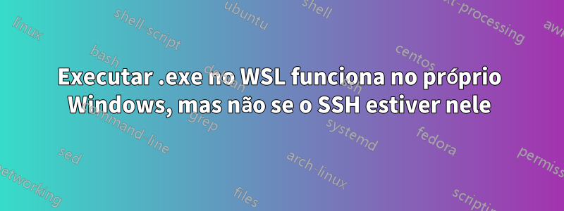 Executar .exe no WSL funciona no próprio Windows, mas não se o SSH estiver nele