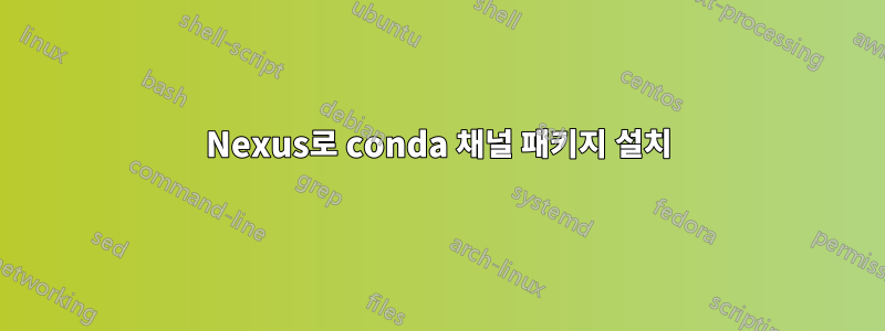 Nexus로 conda 채널 패키지 설치