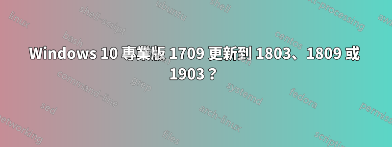 Windows 10 專業版 1709 更新到 1803、1809 或 1903？