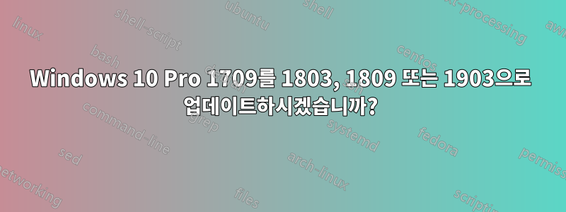 Windows 10 Pro 1709를 1803, 1809 또는 1903으로 업데이트하시겠습니까?