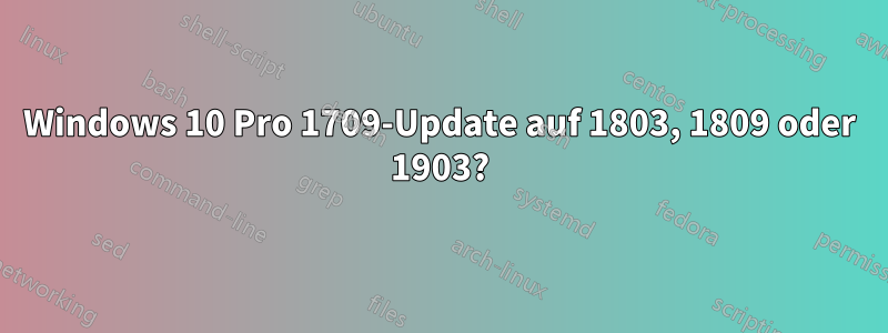 Windows 10 Pro 1709-Update auf 1803, 1809 oder 1903?