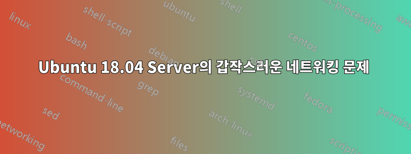 Ubuntu 18.04 Server의 갑작스러운 네트워킹 문제