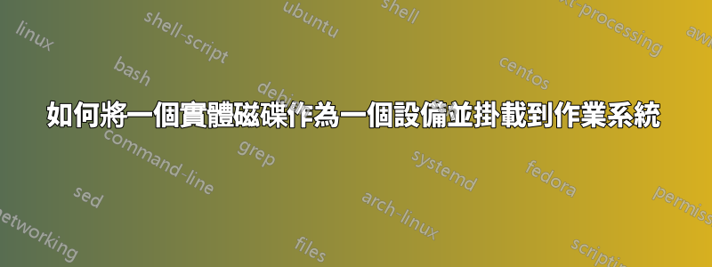 如何將一個實體磁碟作為一個設備並掛載到作業系統