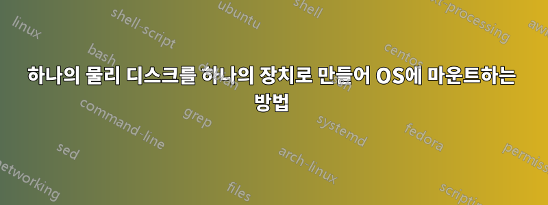 하나의 물리 디스크를 하나의 장치로 만들어 OS에 마운트하는 방법