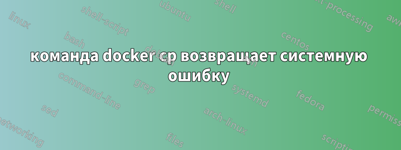 команда docker cp возвращает системную ошибку