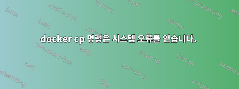 docker cp 명령은 시스템 오류를 얻습니다.