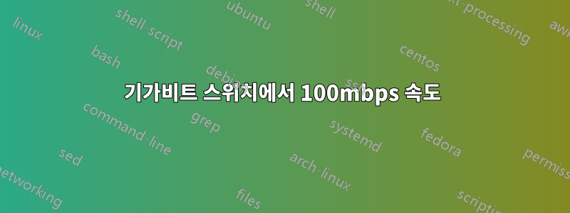 기가비트 스위치에서 100mbps 속도