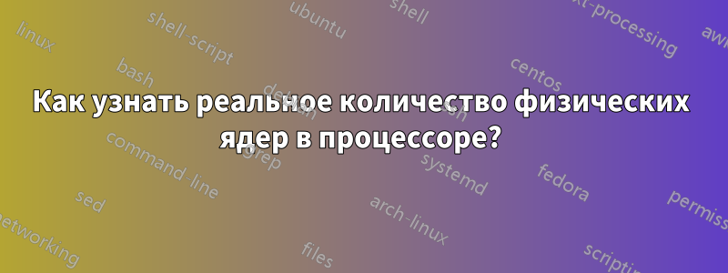 Как узнать реальное количество физических ядер в процессоре?