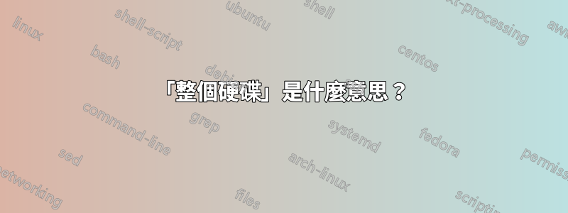 「整個硬碟」是什麼意思？