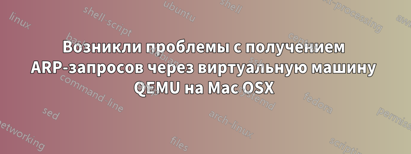 Возникли проблемы с получением ARP-запросов через виртуальную машину QEMU на Mac OSX