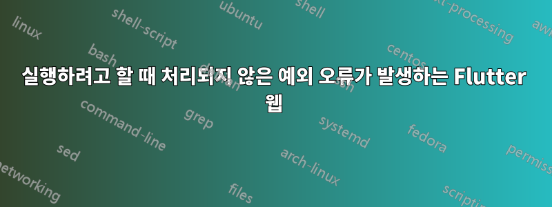 실행하려고 할 때 처리되지 않은 예외 오류가 발생하는 Flutter 웹