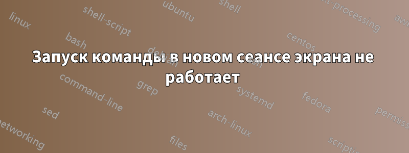 Запуск команды в новом сеансе экрана не работает