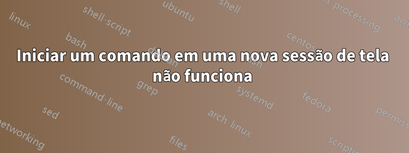 Iniciar um comando em uma nova sessão de tela não funciona