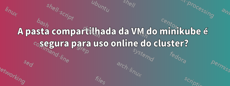 A pasta compartilhada da VM do minikube é segura para uso online do cluster?