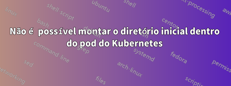 Não é possível montar o diretório inicial dentro do pod do Kubernetes