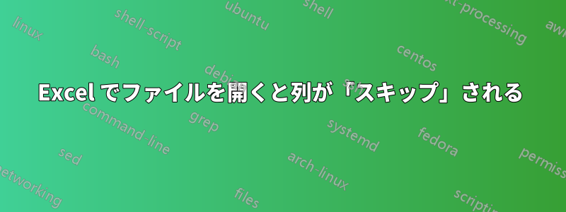 Excel でファイルを開くと列が「スキップ」される