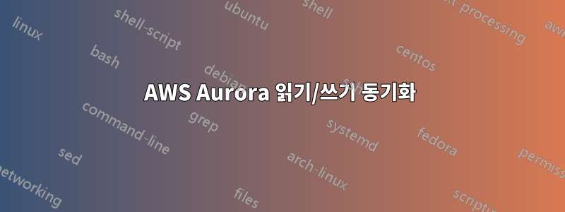 AWS Aurora 읽기/쓰기 동기화