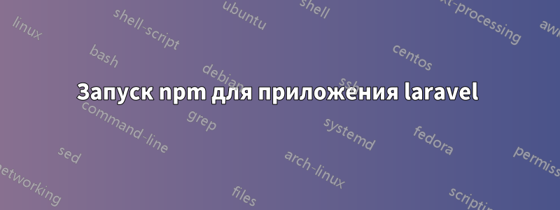 Запуск npm для приложения laravel