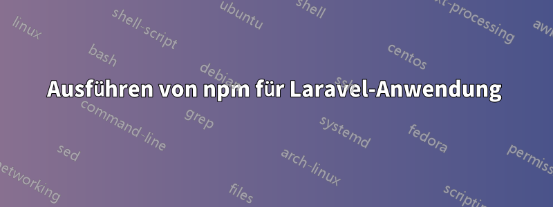 Ausführen von npm für Laravel-Anwendung