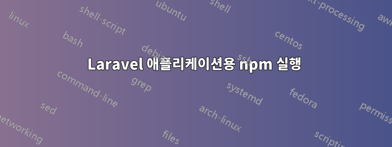 Laravel 애플리케이션용 npm 실행