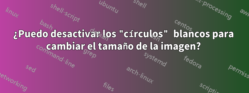 ¿Puedo desactivar los "círculos" blancos para cambiar el tamaño de la imagen?