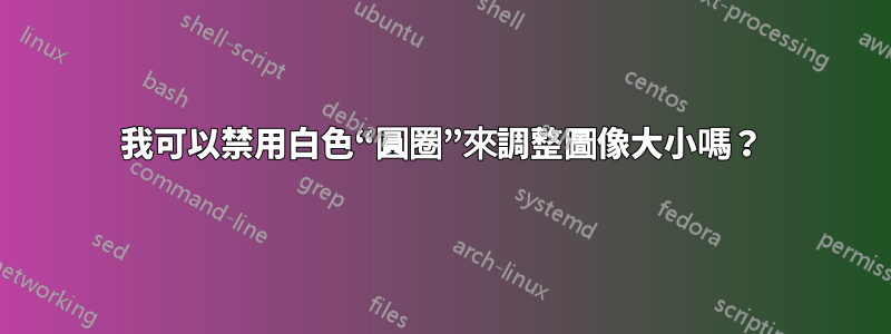 我可以禁用白色“圓圈”來調整圖像大小嗎？