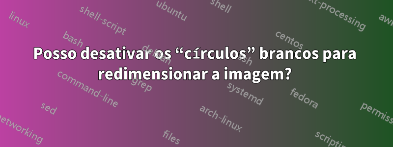 Posso desativar os “círculos” brancos para redimensionar a imagem?
