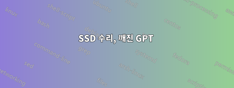 SSD 수리, 깨진 GPT