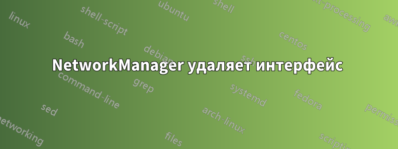 NetworkManager удаляет интерфейс