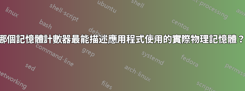 哪個記憶體計數器最能描述應用程式使用的實際物理記憶體？