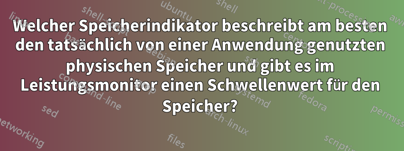 Welcher Speicherindikator beschreibt am besten den tatsächlich von einer Anwendung genutzten physischen Speicher und gibt es im Leistungsmonitor einen Schwellenwert für den Speicher?