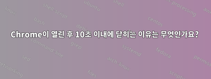 Chrome이 열린 후 10초 이내에 닫히는 이유는 무엇인가요?