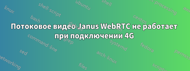 Потоковое видео Janus WebRTC не работает при подключении 4G