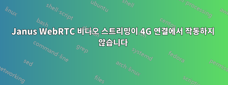 Janus WebRTC 비디오 스트리밍이 4G 연결에서 작동하지 않습니다