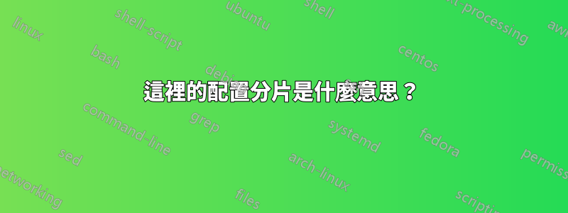 這裡的配置分片是什麼意思？