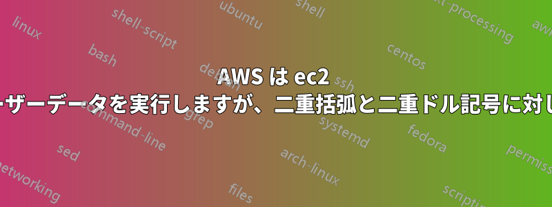 AWS は ec2 インスタンスの作成時にユーザーデータを実行しますが、二重括弧と二重ドル記号に対してエラーをスローします。