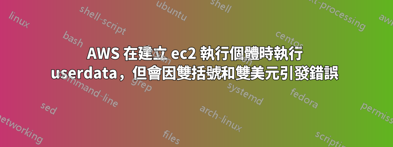 AWS 在建立 ec2 執行個體時執行 userdata，但會因雙括號和雙美元引發錯誤