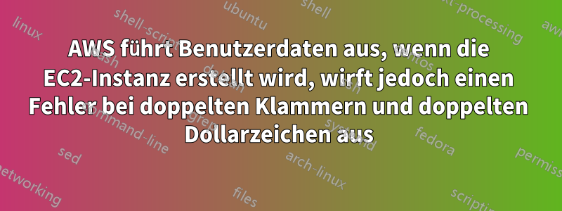 AWS führt Benutzerdaten aus, wenn die EC2-Instanz erstellt wird, wirft jedoch einen Fehler bei doppelten Klammern und doppelten Dollarzeichen aus