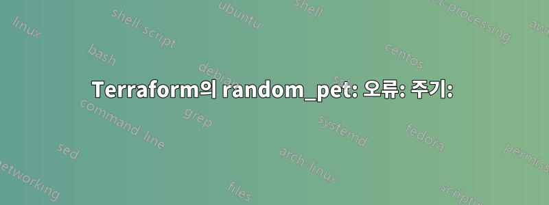 Terraform의 random_pet: 오류: 주기: