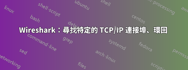 Wireshark：尋找特定的 TCP/IP 連接埠、環回