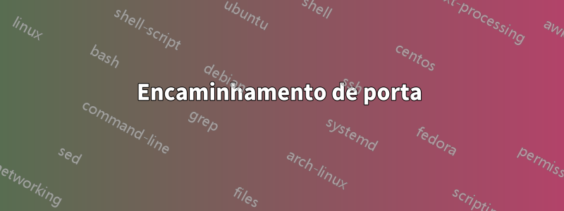 Encaminhamento de porta