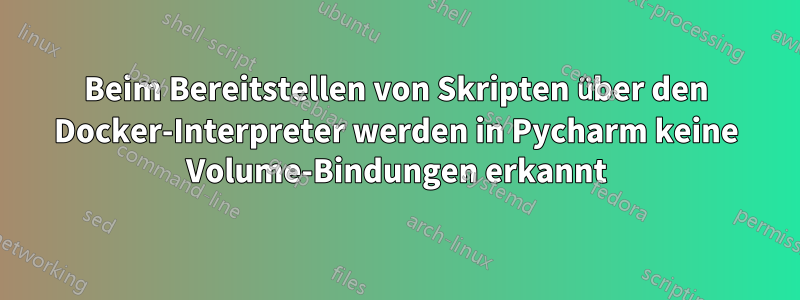 Beim Bereitstellen von Skripten über den Docker-Interpreter werden in Pycharm keine Volume-Bindungen erkannt