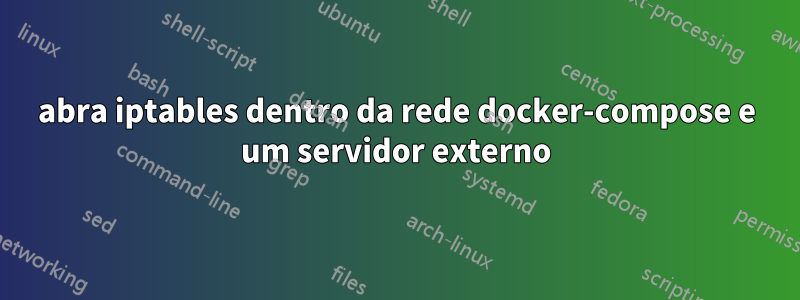 abra iptables dentro da rede docker-compose e um servidor externo