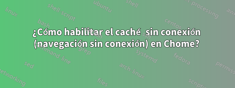 ¿Cómo habilitar el caché sin conexión (navegación sin conexión) en Chome?