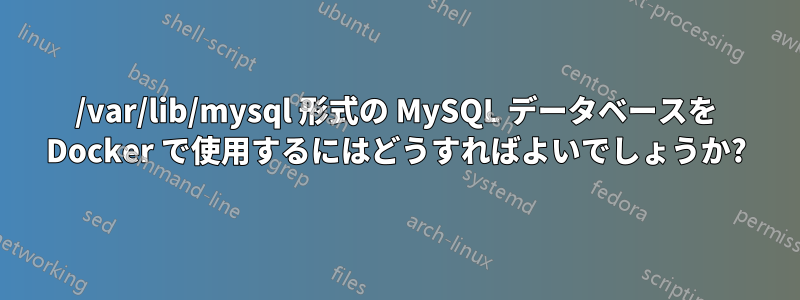 /var/lib/mysql 形式の MySQL データベースを Docker で使用するにはどうすればよいでしょうか?